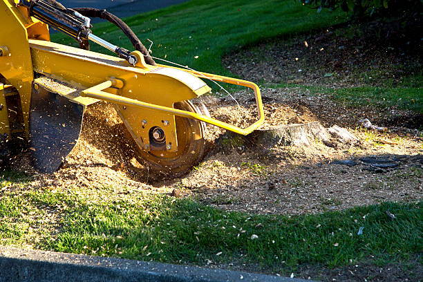 Artificial Turf Installation in Heber, UT